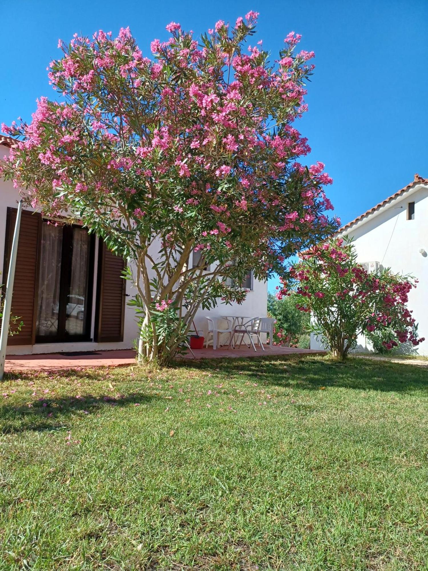 Nerissa Bungalow 2, Two Bedroom House With Sea View Spartia  Exteriér fotografie